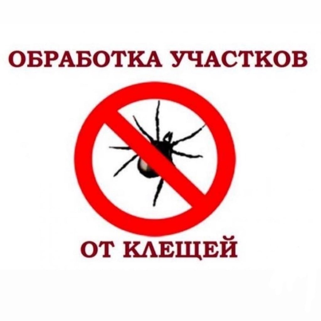 Плановая акарицидная обработка территории от клещей.